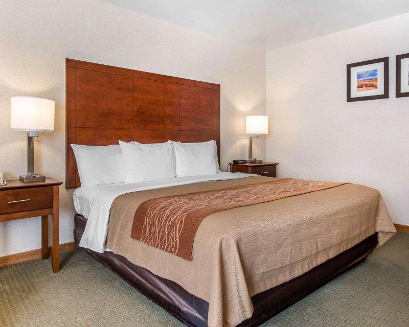 Comfort Inn Salida Area image