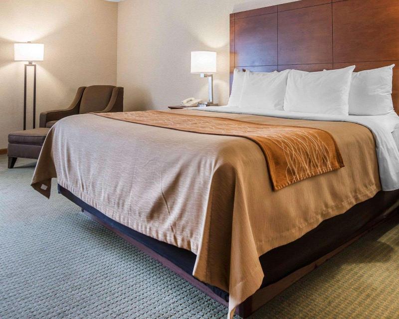 Comfort Inn Salida Area image
