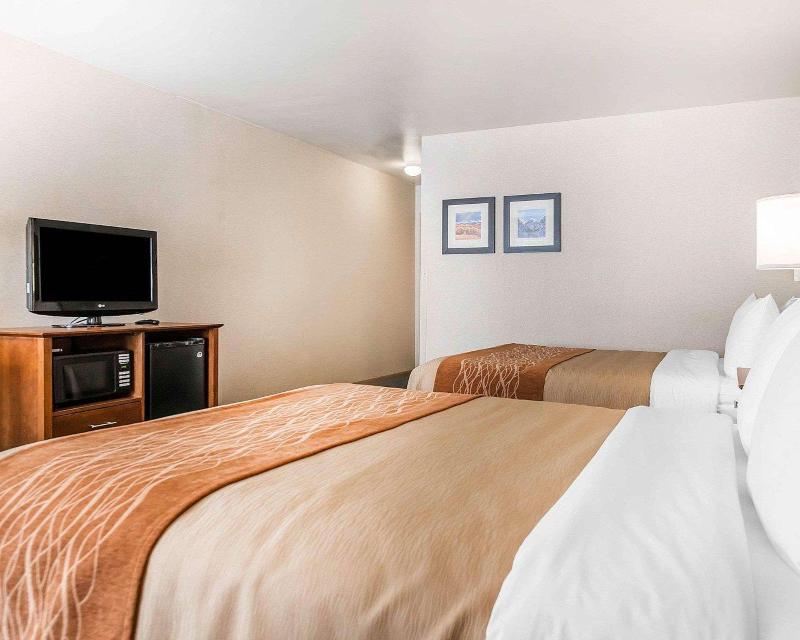 Comfort Inn Salida Area image