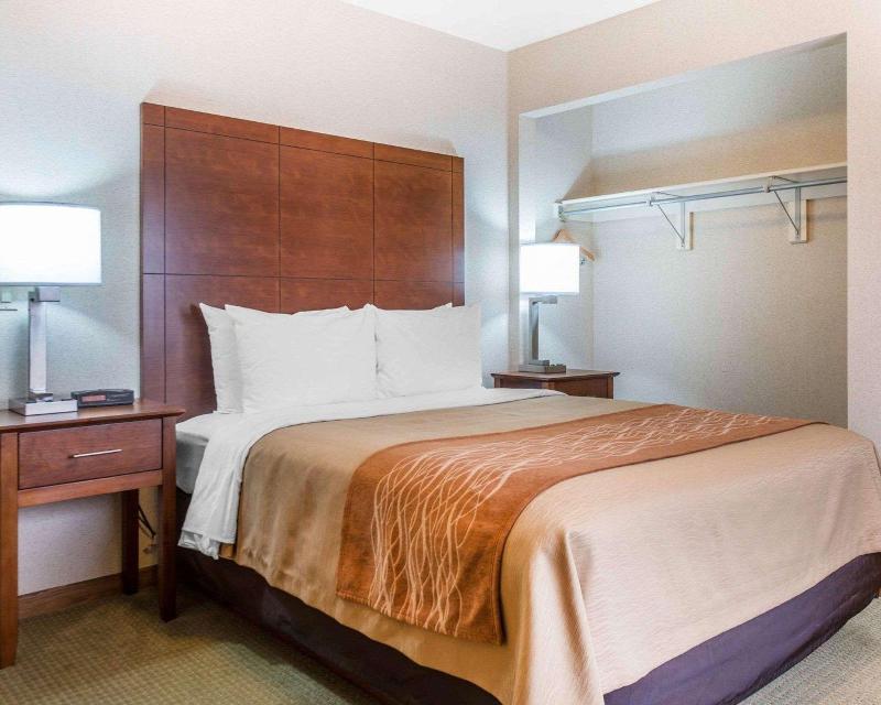 Comfort Inn Salida Area image