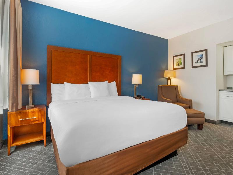 Comfort Inn Madison image