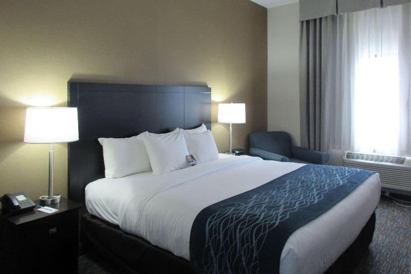 Comfort Inn Port Huron image