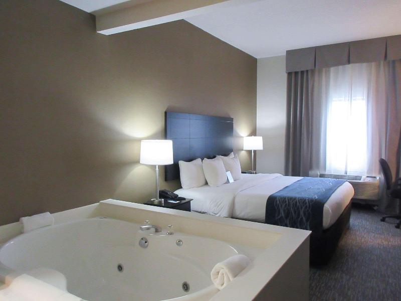 Comfort Inn Port Huron image