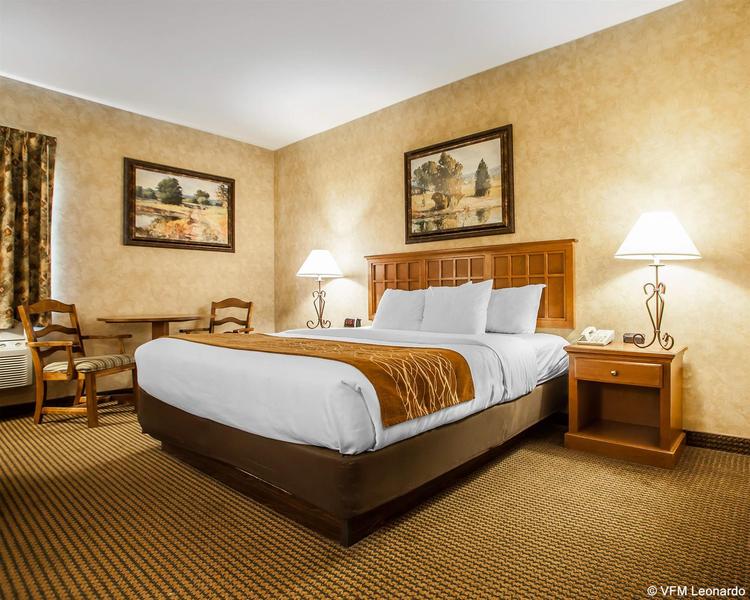 Comfort Inn Macon