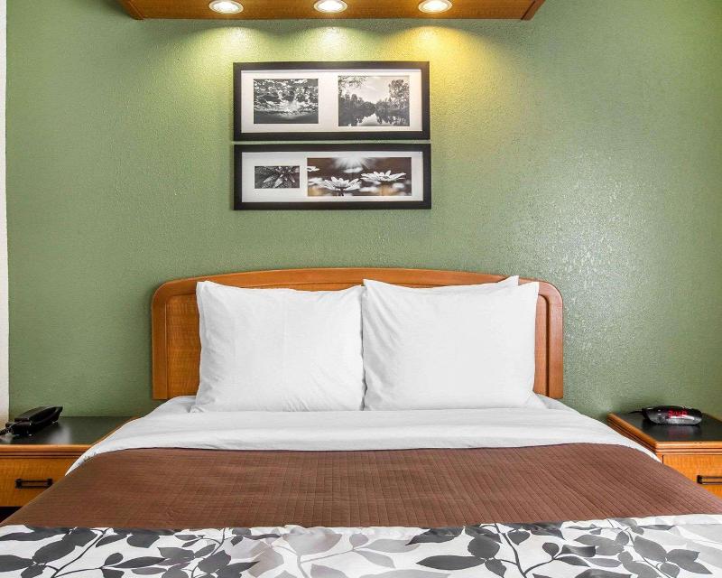 Sleep Inn & Suites Albemarle image