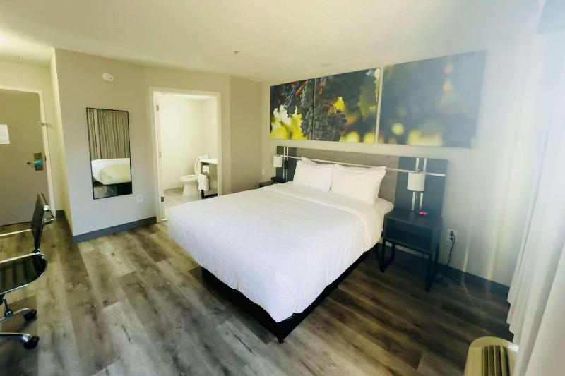 Sleep Inn & Suites Albemarle image