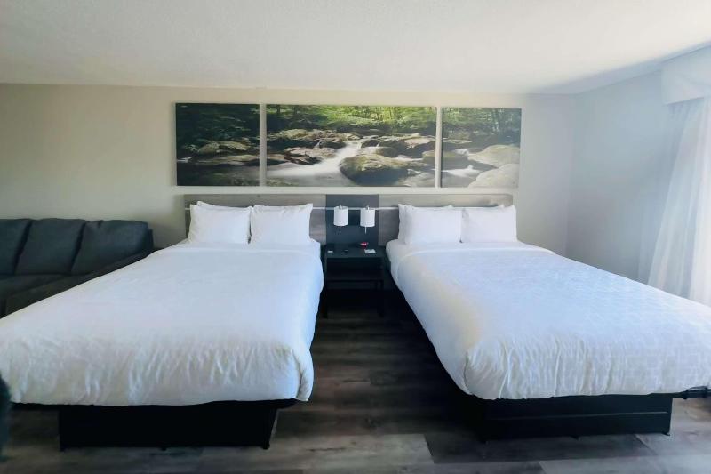 Sleep Inn & Suites Albemarle image