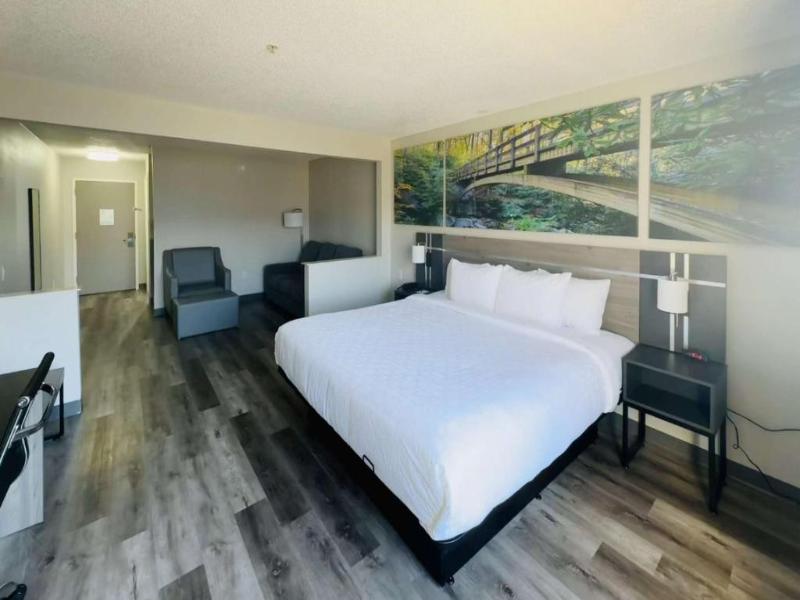 Clarion Pointe Albemarle 3