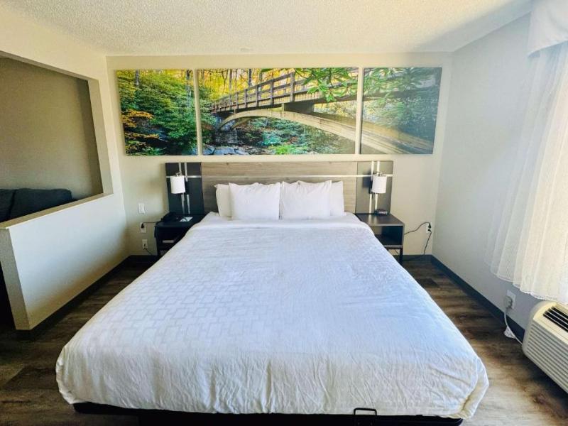 Clarion Pointe Albemarle 4