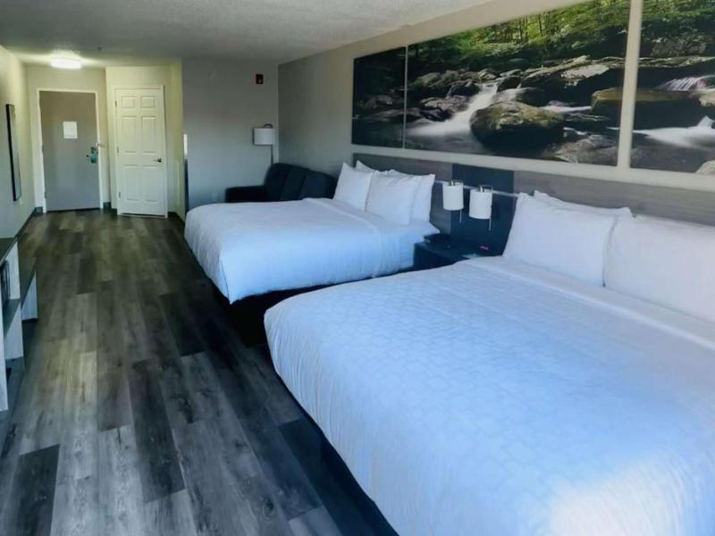 Clarion Pointe Albemarle 5