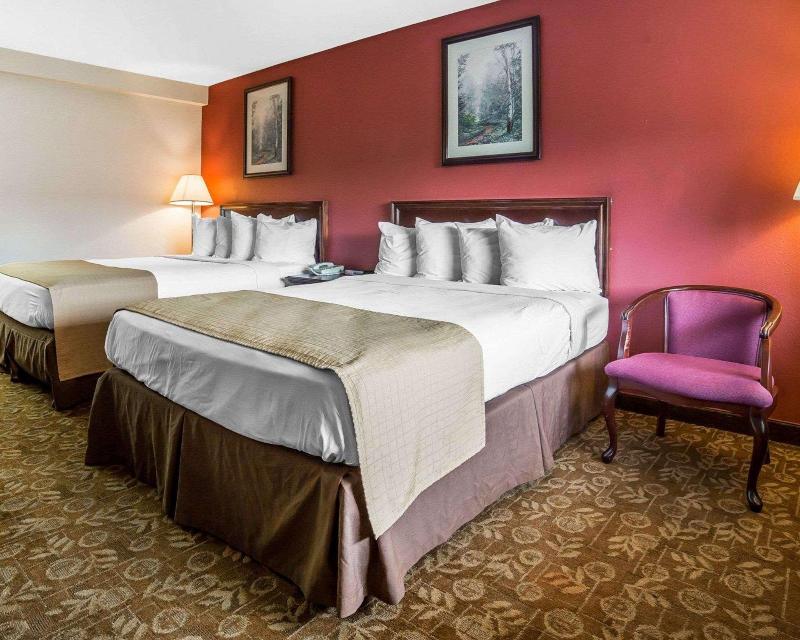 Quality Inn & Suites Minden image
