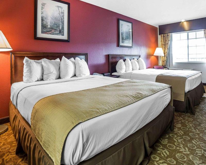 Quality Inn & Suites Minden image