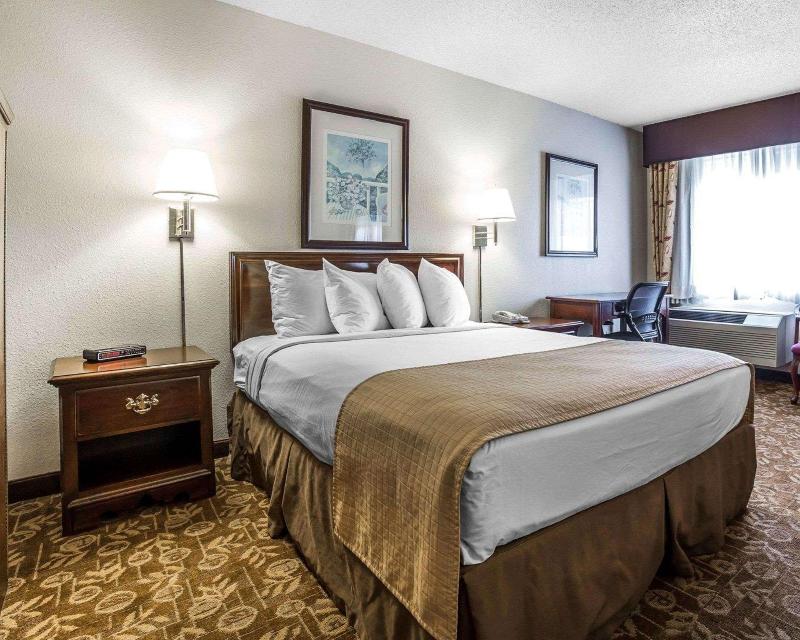 Quality Inn & Suites Minden image