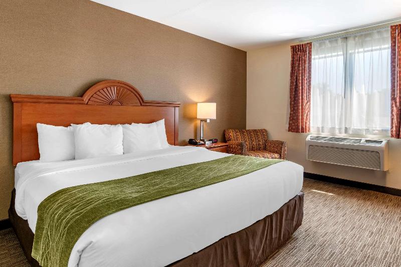 Comfort Inn Williamsport image