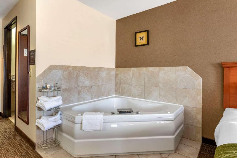 Comfort Inn Williamsport image