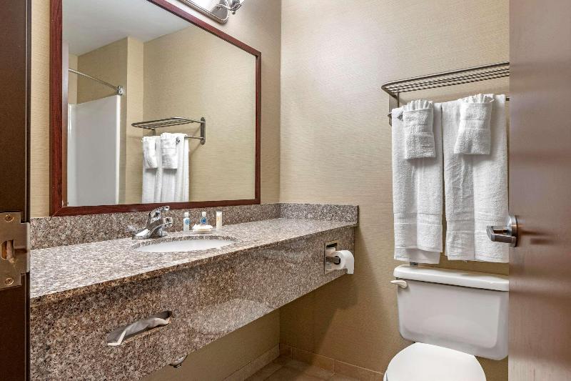 Comfort Inn Williamsport image