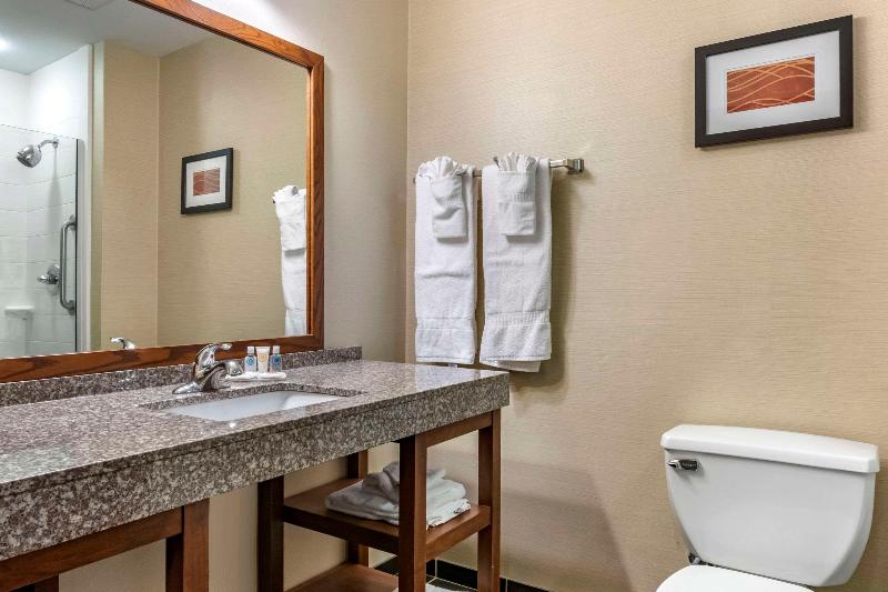 Comfort Inn Williamsport image