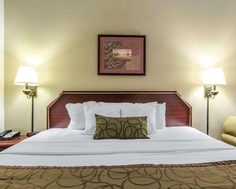 Quality Inn Downtown image