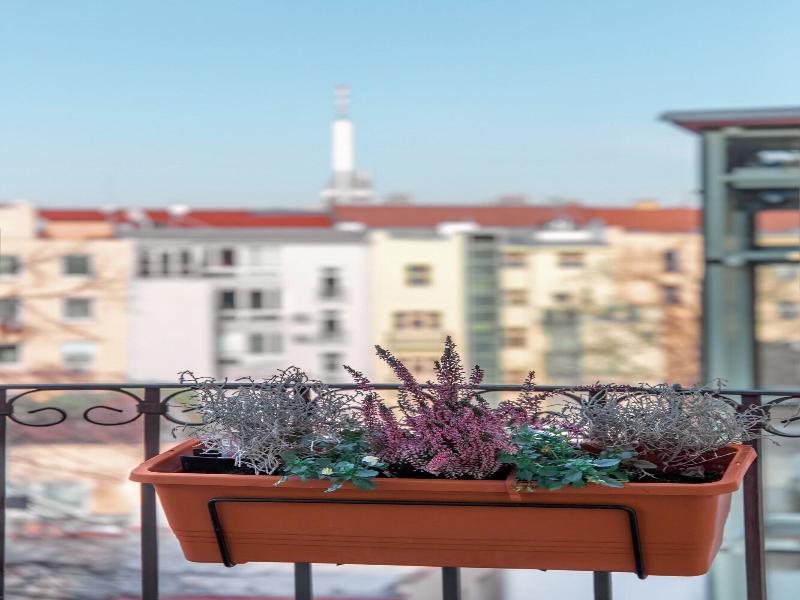 Hotel Sibelius image