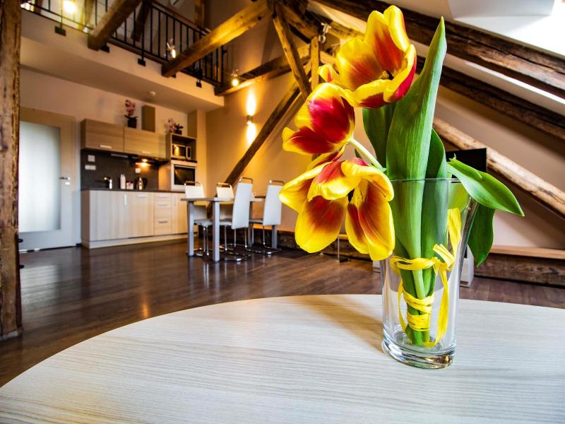 Residence U Cerne veze image
