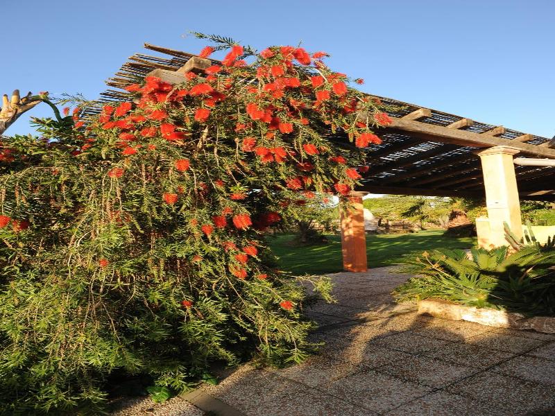 Agriturismo La Fontana Dei Desideri image