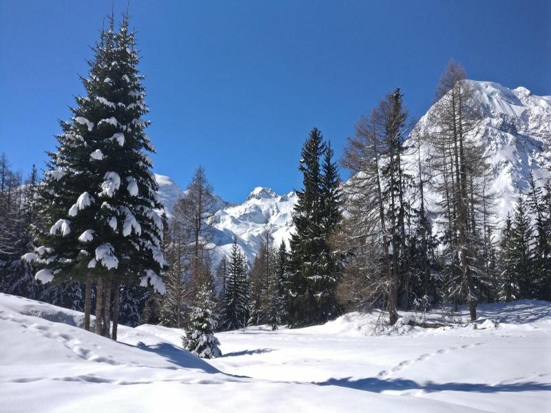 Hotel Bellier image
