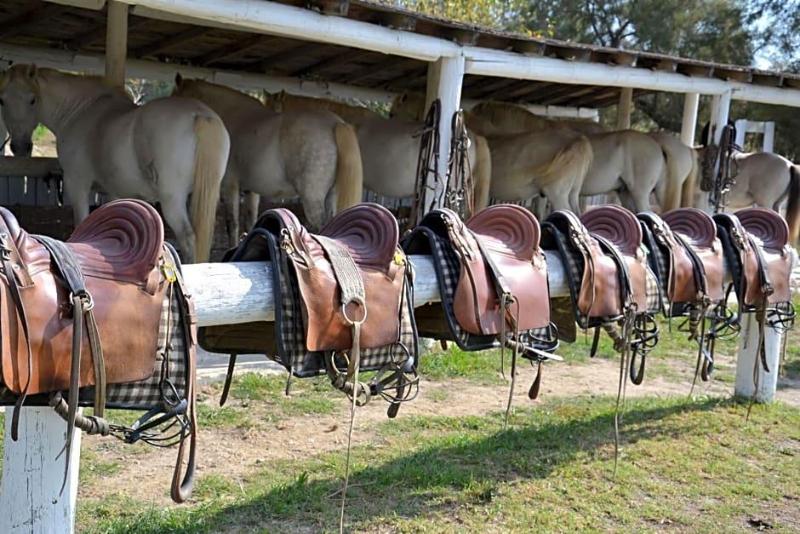 Mas De Sylvereal Camargue image