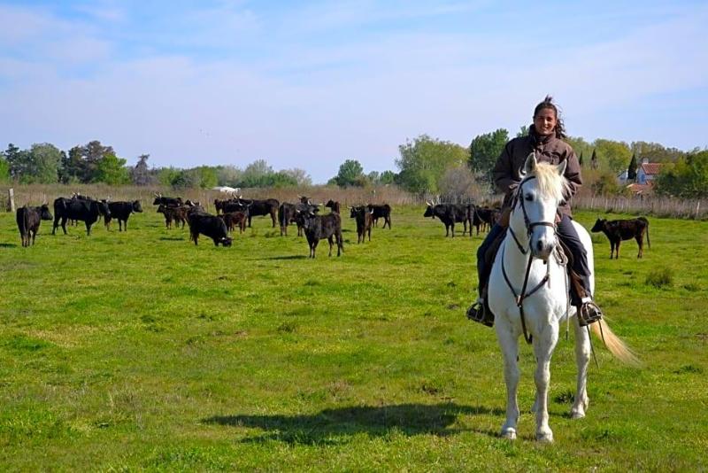 Mas De Sylvereal Camargue image
