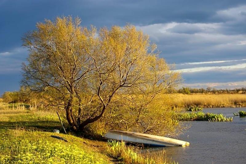 Mas De Sylvereal Camargue image
