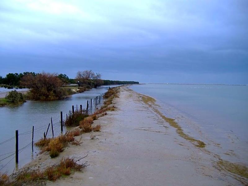 Mas De Sylvereal Camargue image