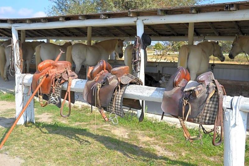 Mas De Sylvereal Camargue image