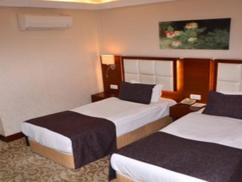 Asrin Business Hotel image