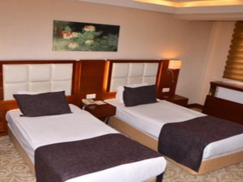 Asrin Business Hotel image
