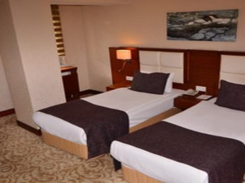 Asrin Business Hotel image