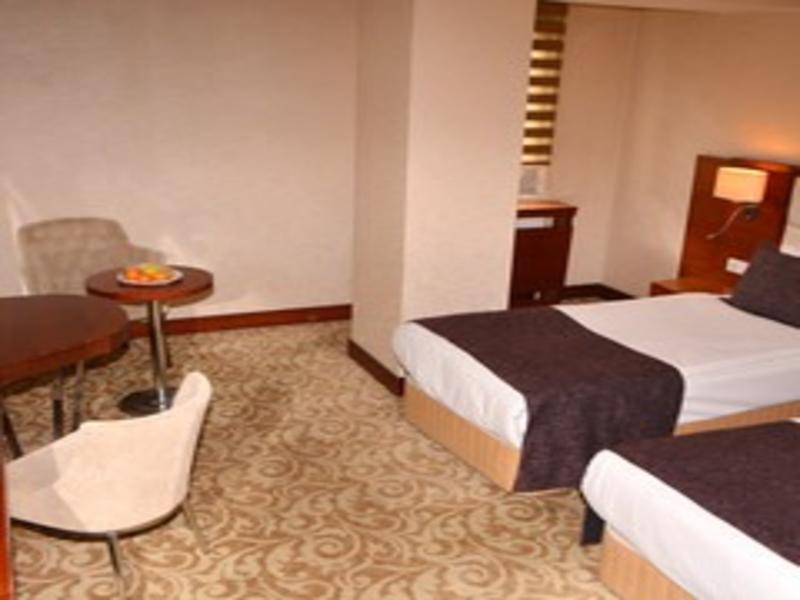 Asrin Business Hotel image