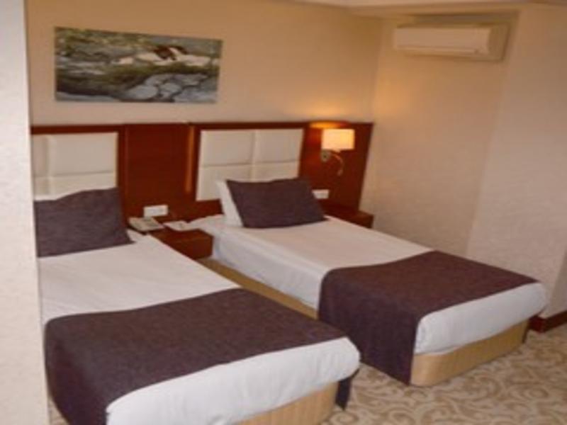 Asrin Business Hotel image