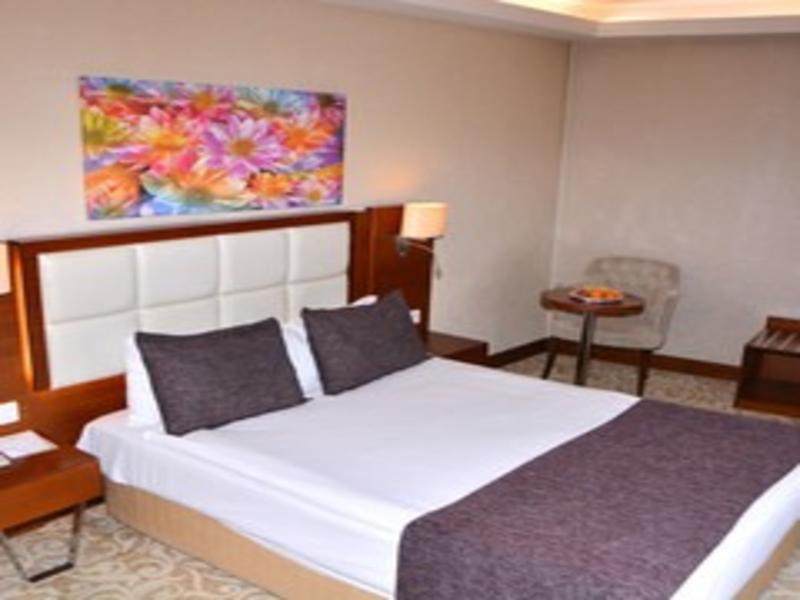 Asrin Business Hotel image