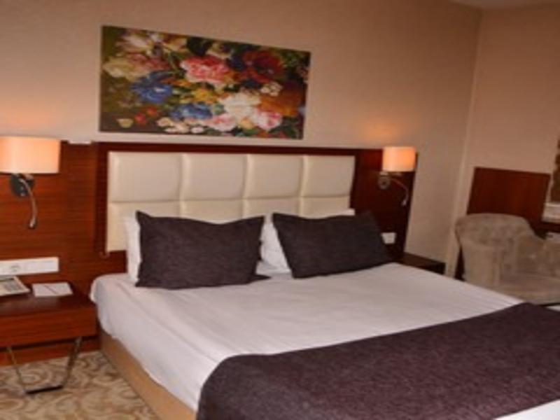 Asrin Business Hotel image