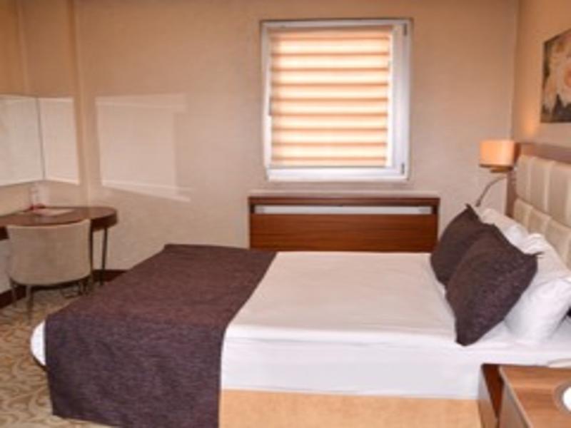 Asrin Business Hotel image