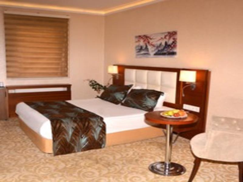 Asrin Business Hotel image