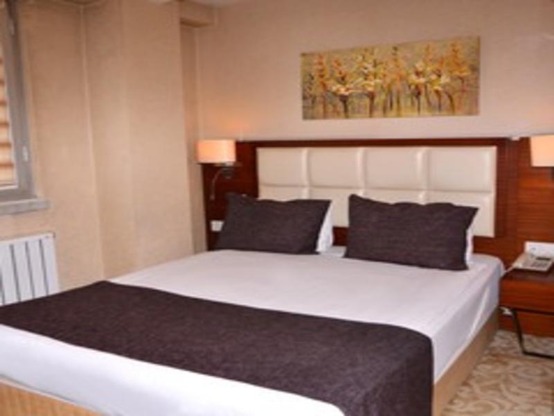 Asrin Business Hotel image