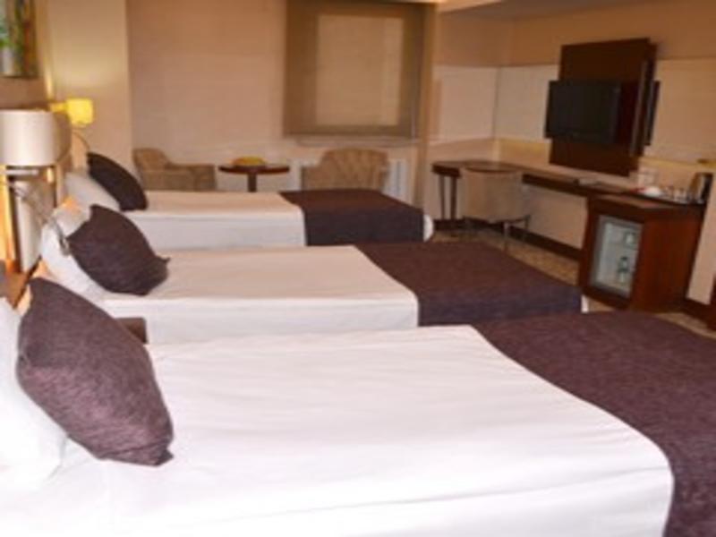 Asrin Business Hotel image