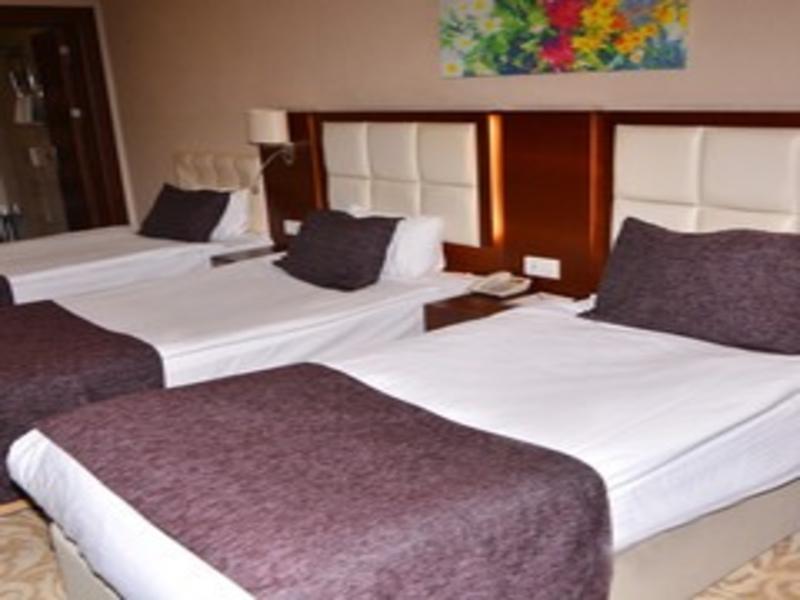Asrin Business Hotel image