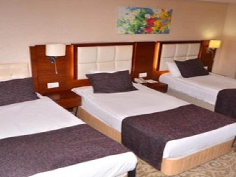 Asrin Business Hotel image