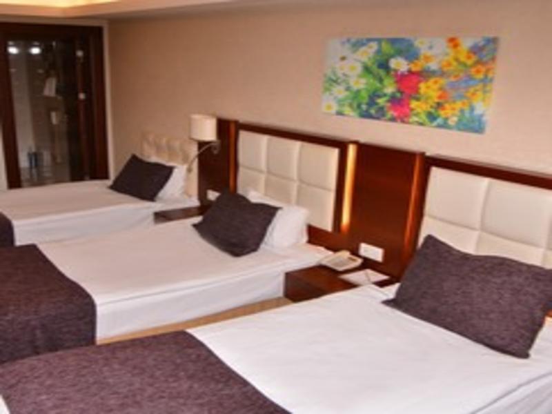 Asrin Business Hotel image