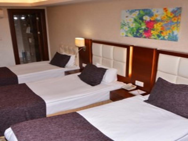 Asrin Business Hotel image