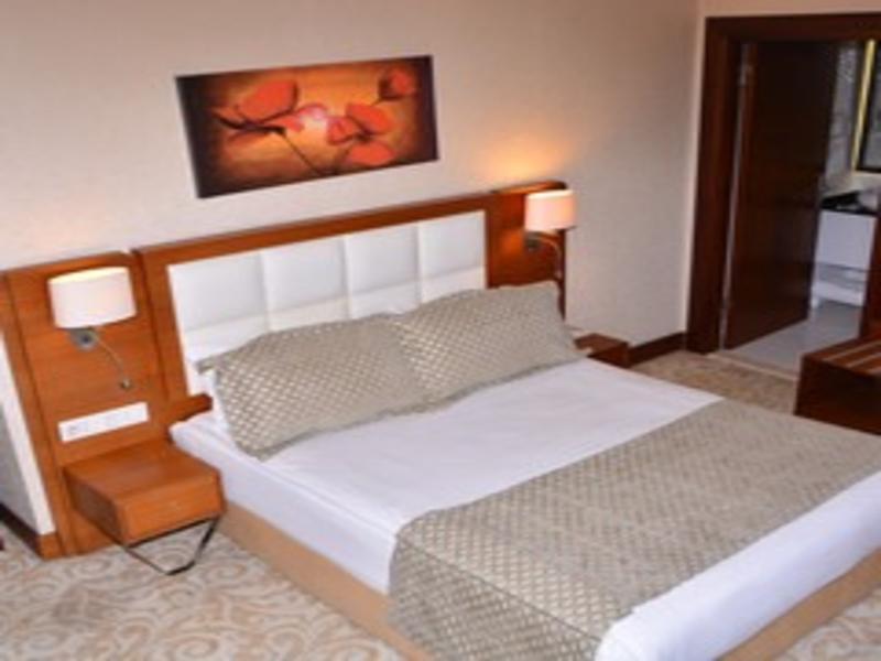 Asrin Business Hotel image