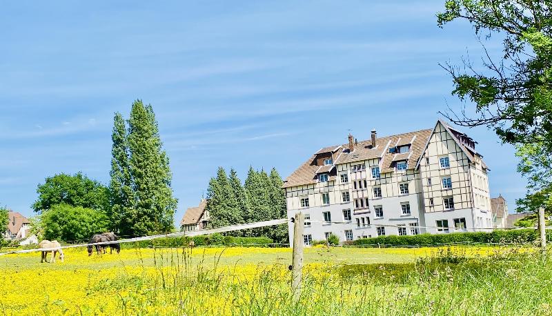 Sure Hotel by Best Western Port Jerome - Le Havre image
