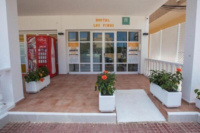 Hostal Los Pinos — general view