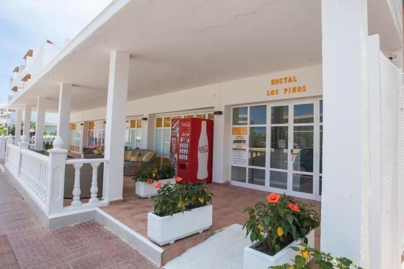 Hostal Los Pinos — general view